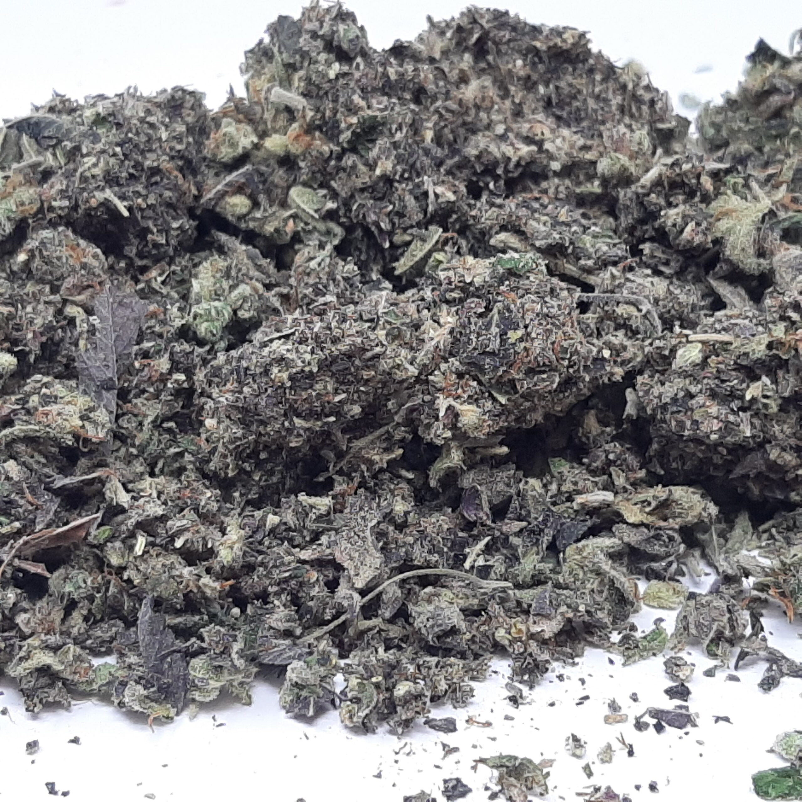 AAAA+ Grand Daddy Purple Trim