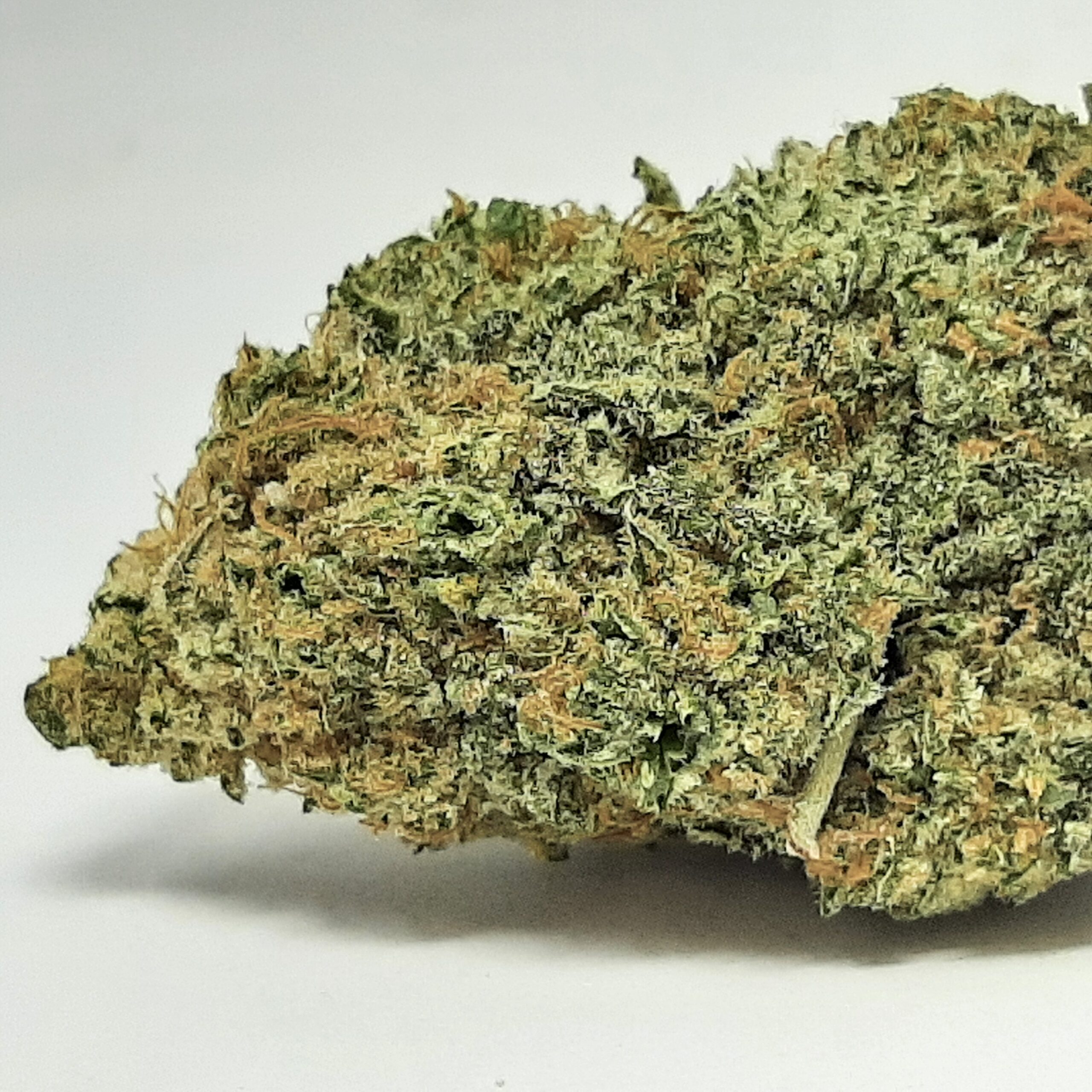 AAAA Jigglers By Green Valley