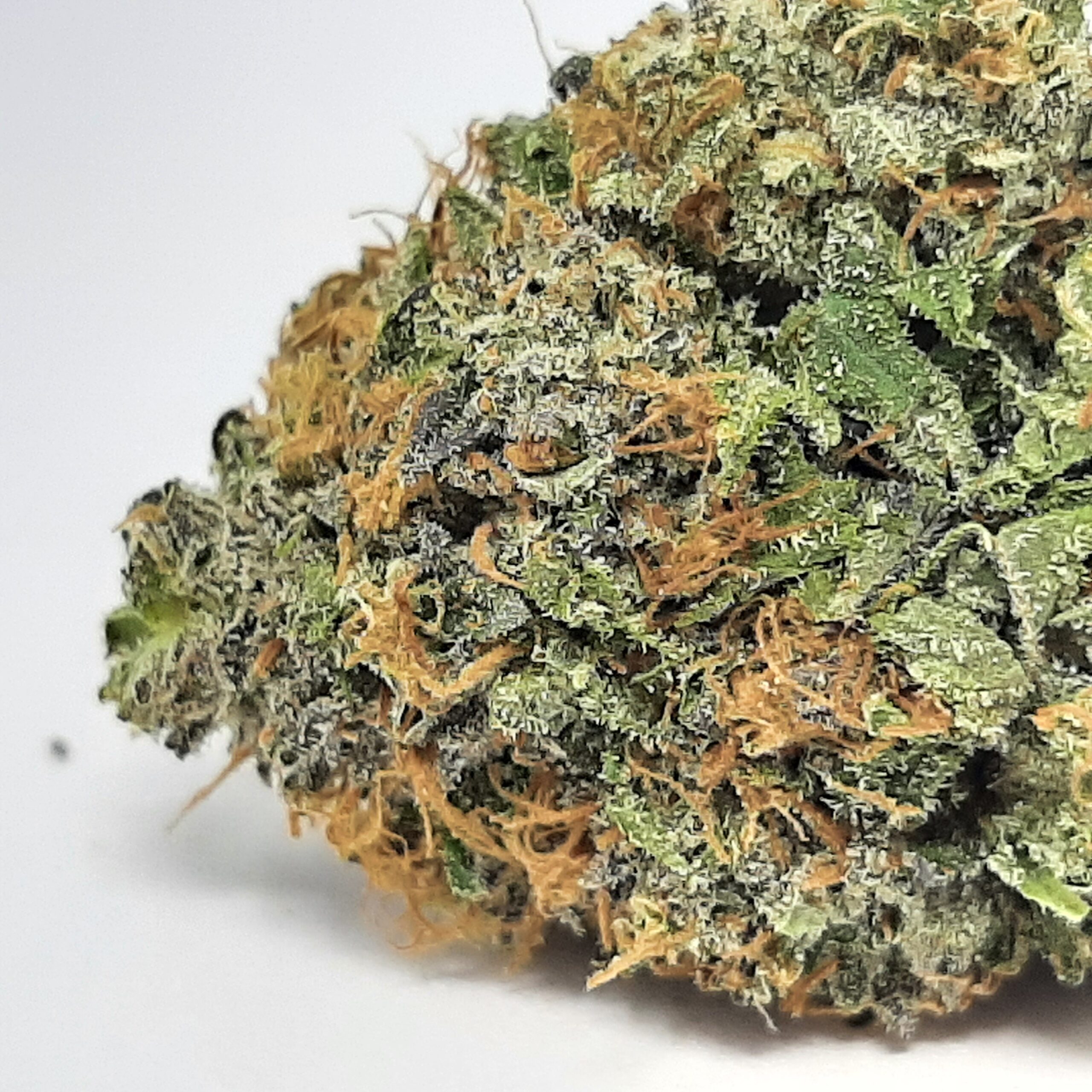 AAAA Mac Daddy By Green Valley