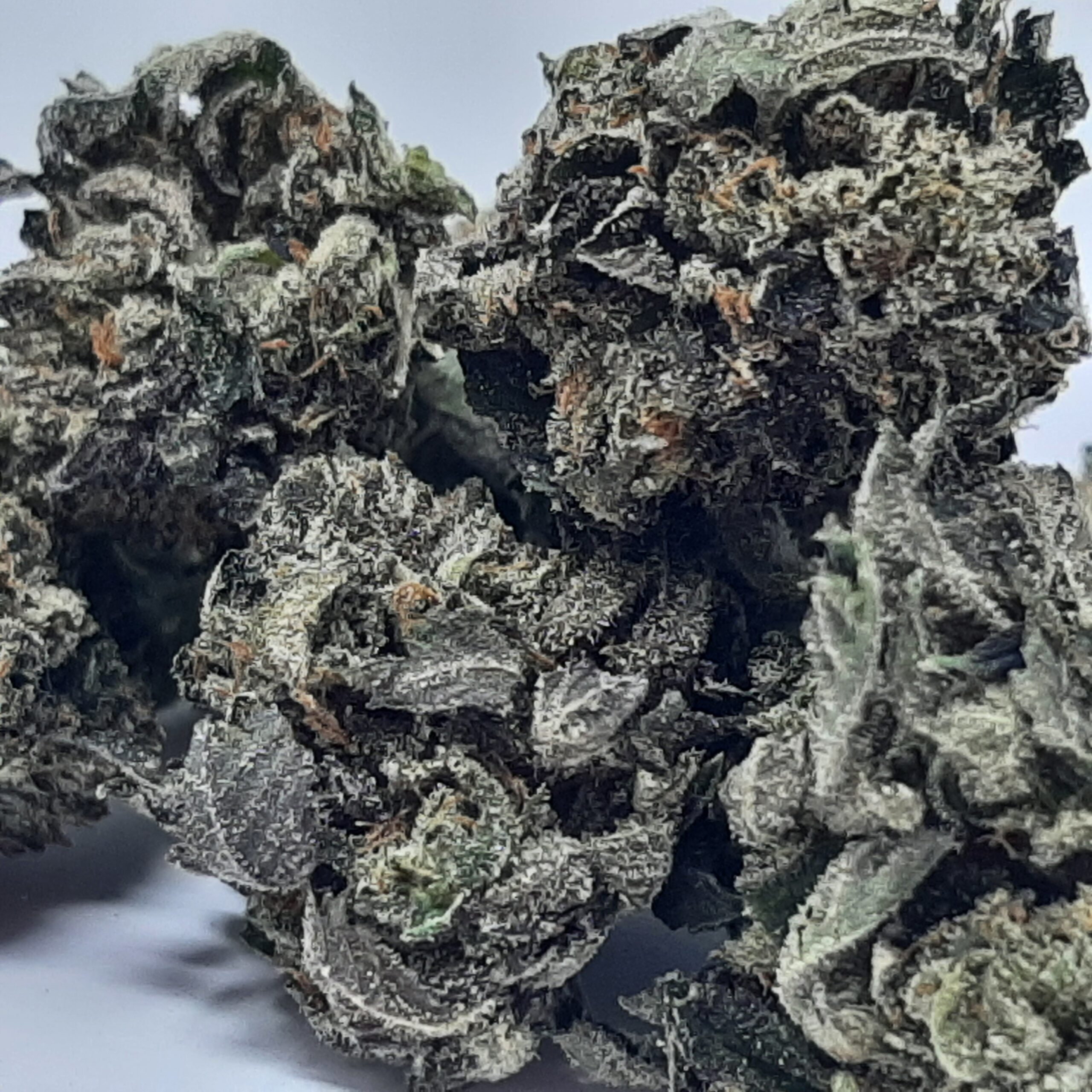 AAAA+ Mandarin Zkittlez Mediums By Green Valley