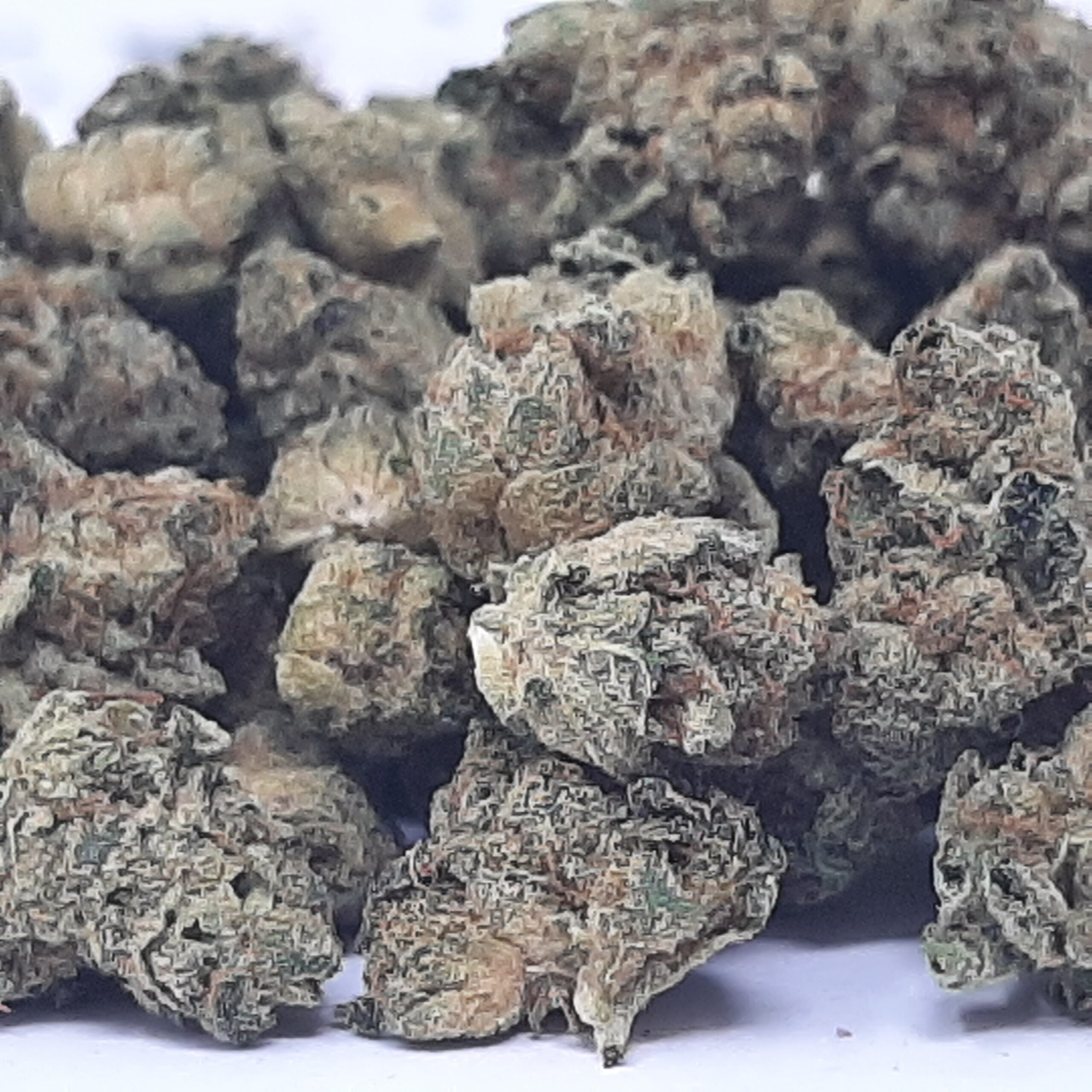 AAA+ MK Ultra Smalls