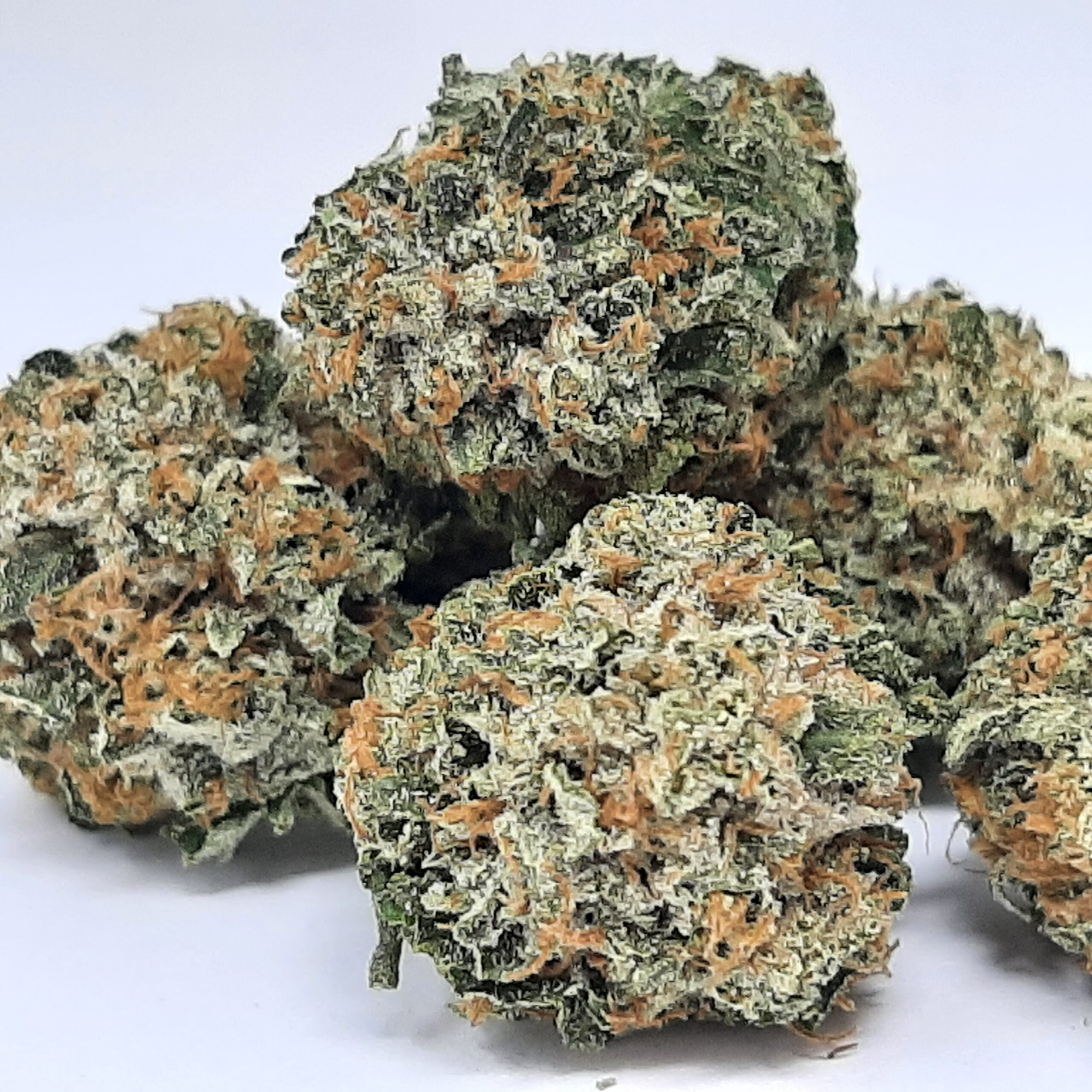 AAAA+ Slurricane Mediums By Green Valley