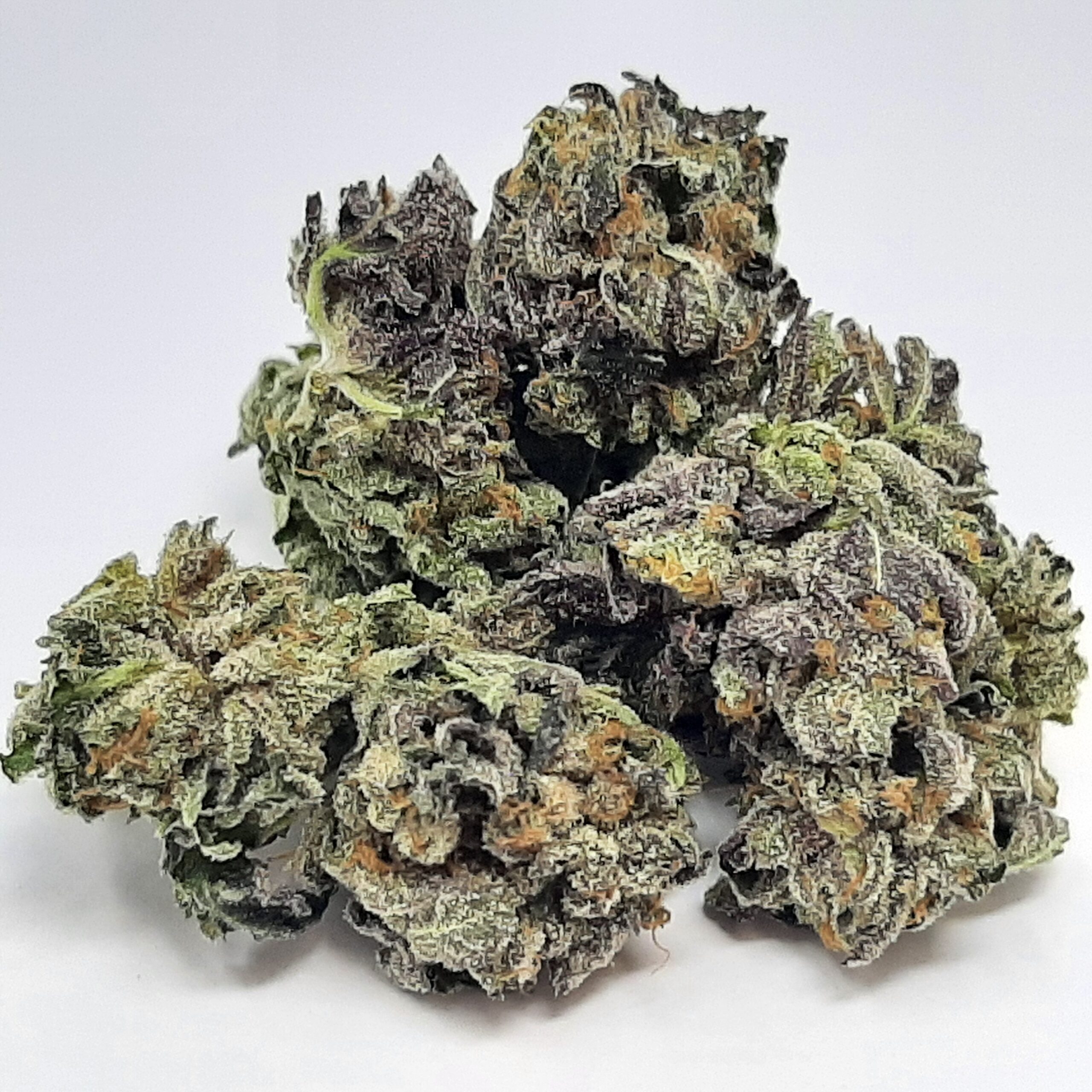 AAA+ Jack Herer Mediums