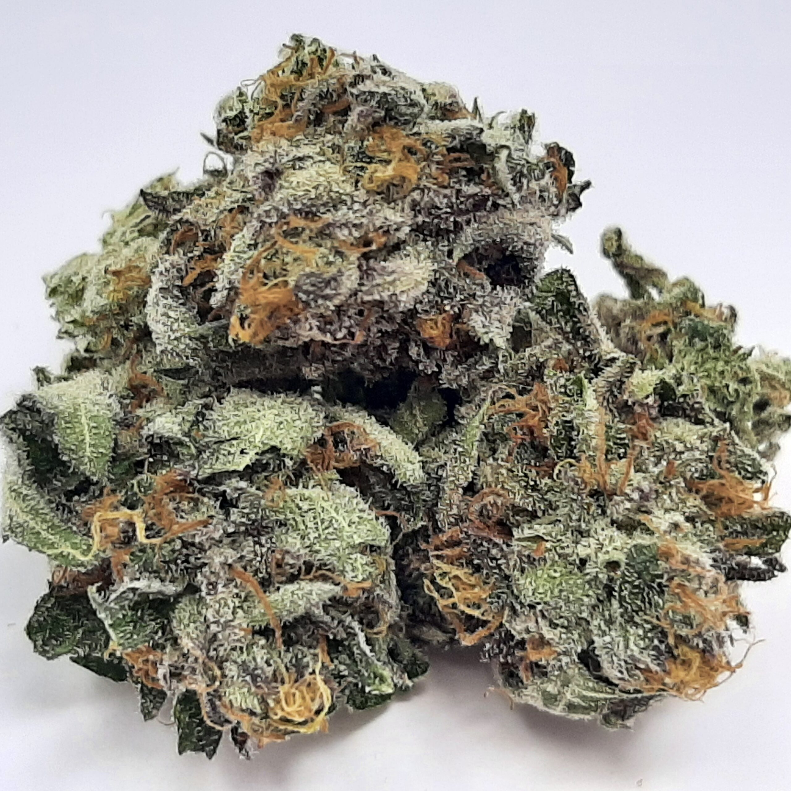 AAA+ Cherry Pie Mediums