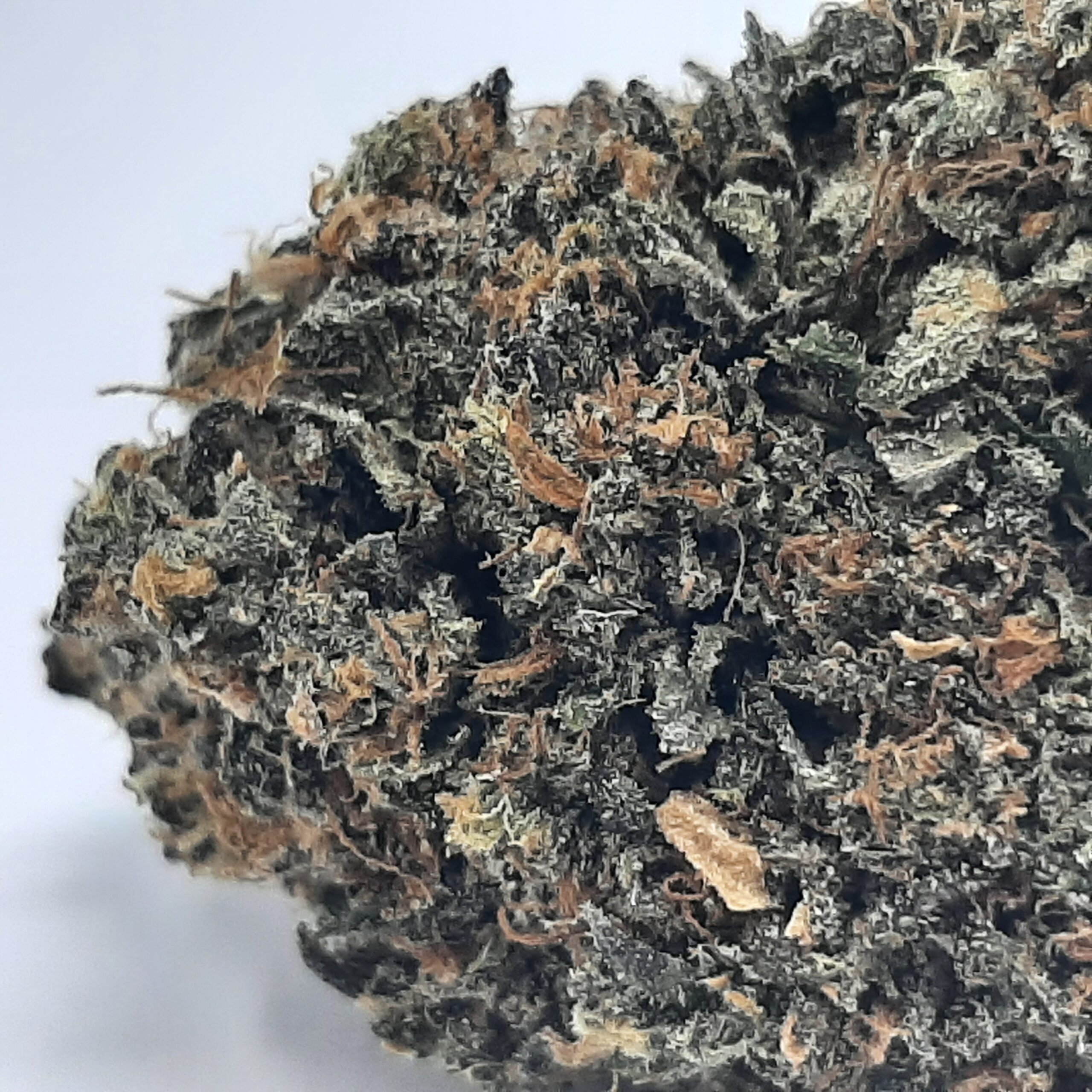 AAAA Death Bubba