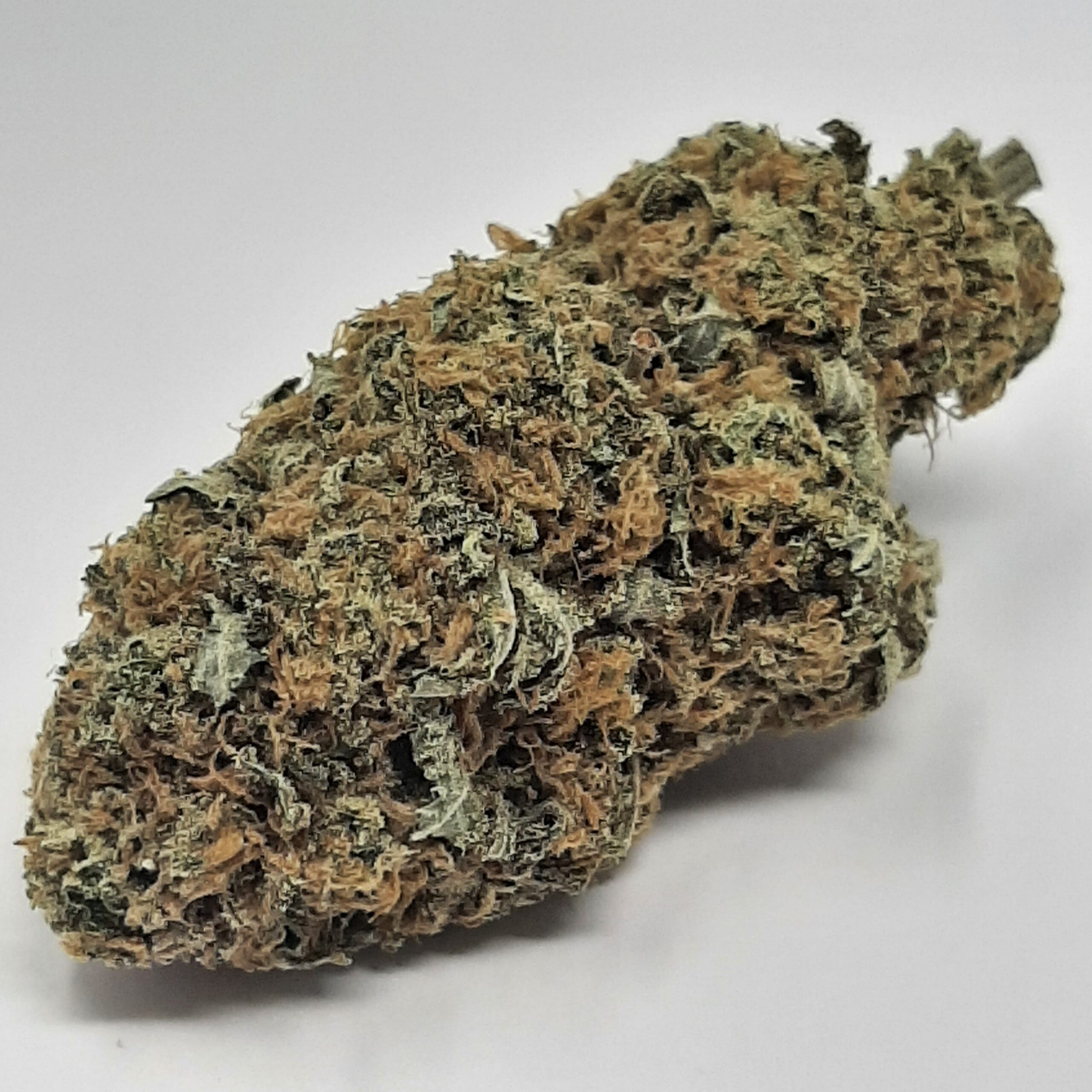 AAA+ Super Silver Haze