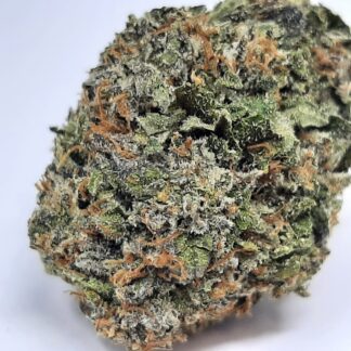 AAAA WiFi By Green Valley