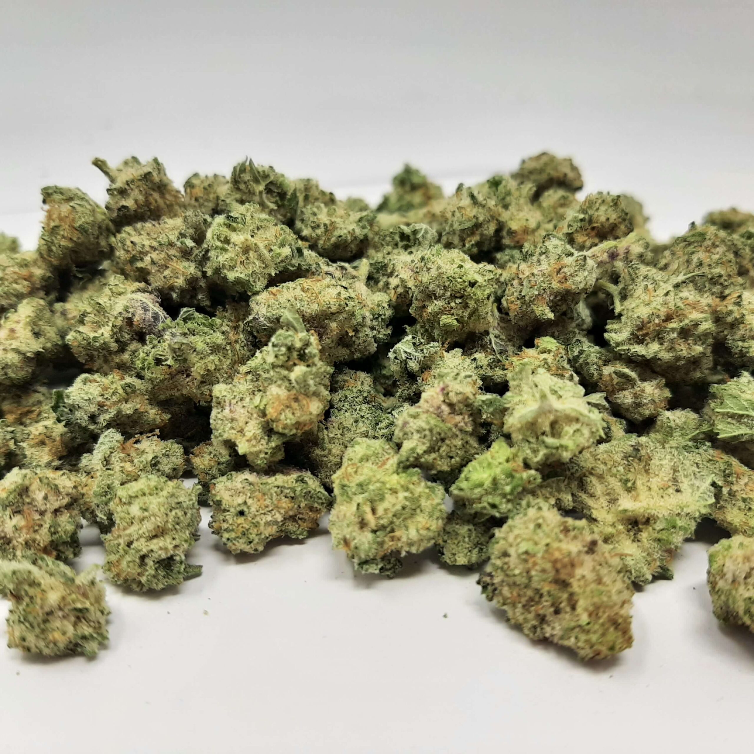 AAAA Jungle Cake Smalls By Green Valley
