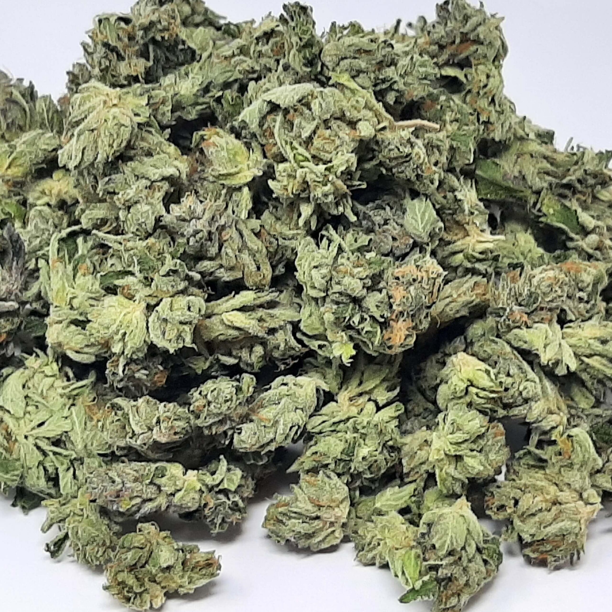 AAA+ Afghan Goo Smalls