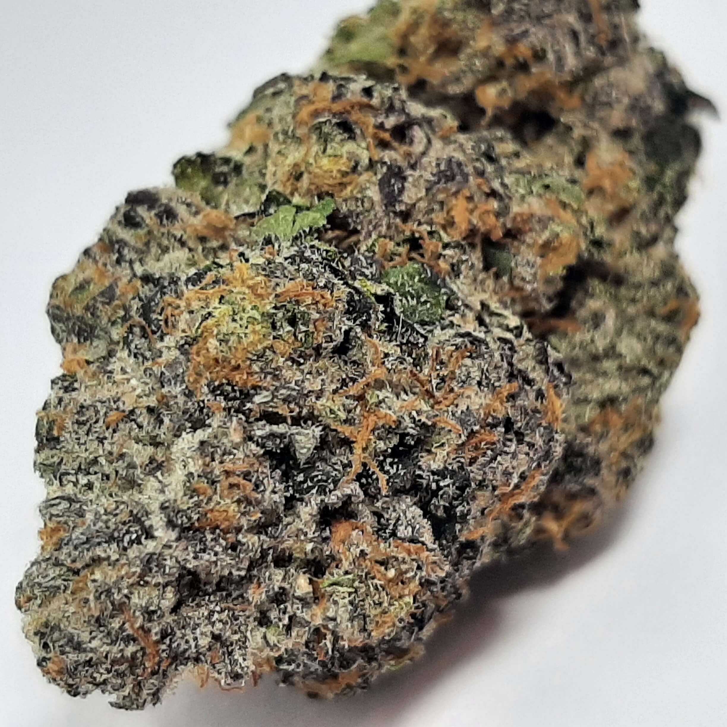 AAAA Gas Face By Kootenayz Exoticz