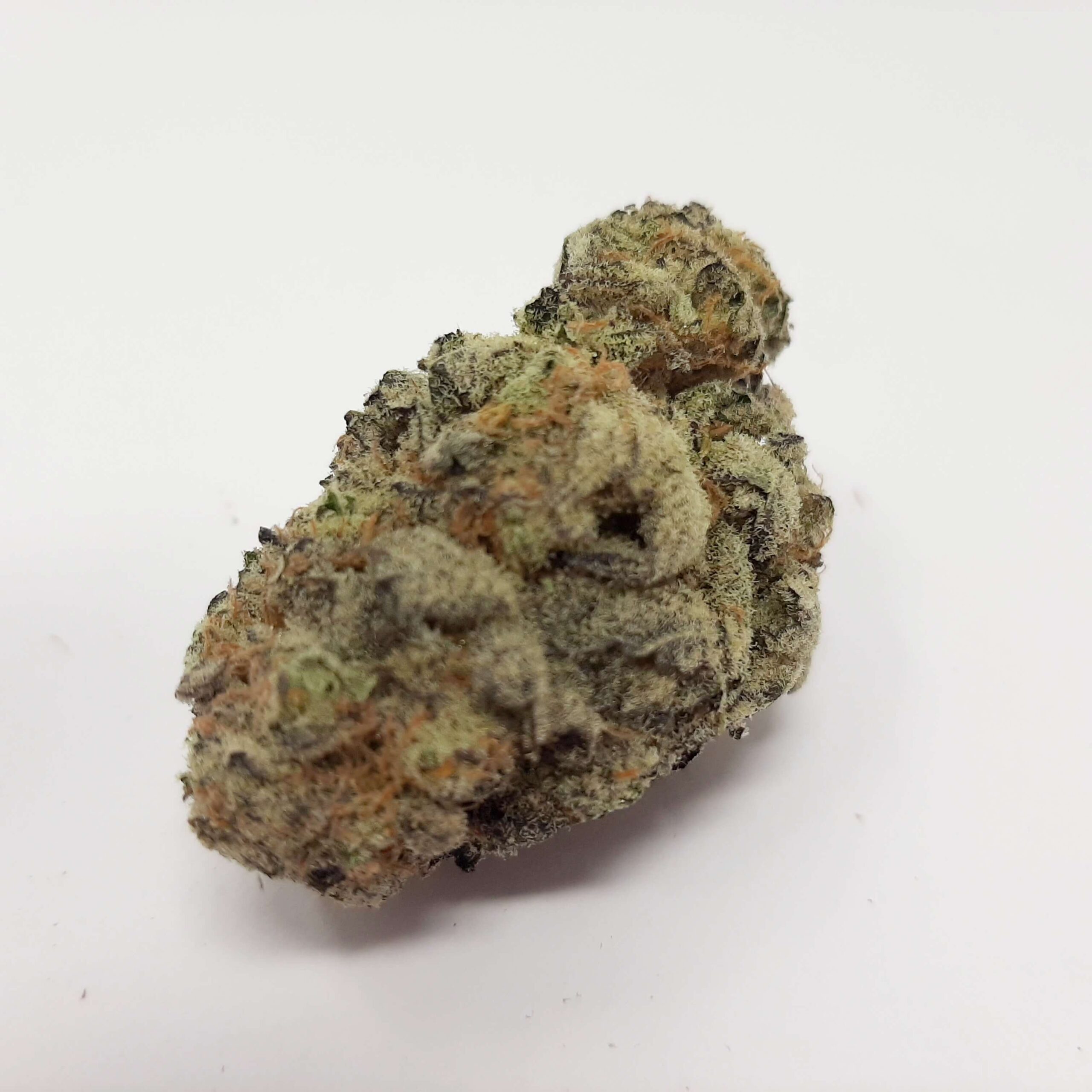 AAA+ Maui Wowie