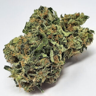 AAA+ Rockstar Bubba