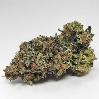 AAA+ Bacio Gelato By Nitro Buds