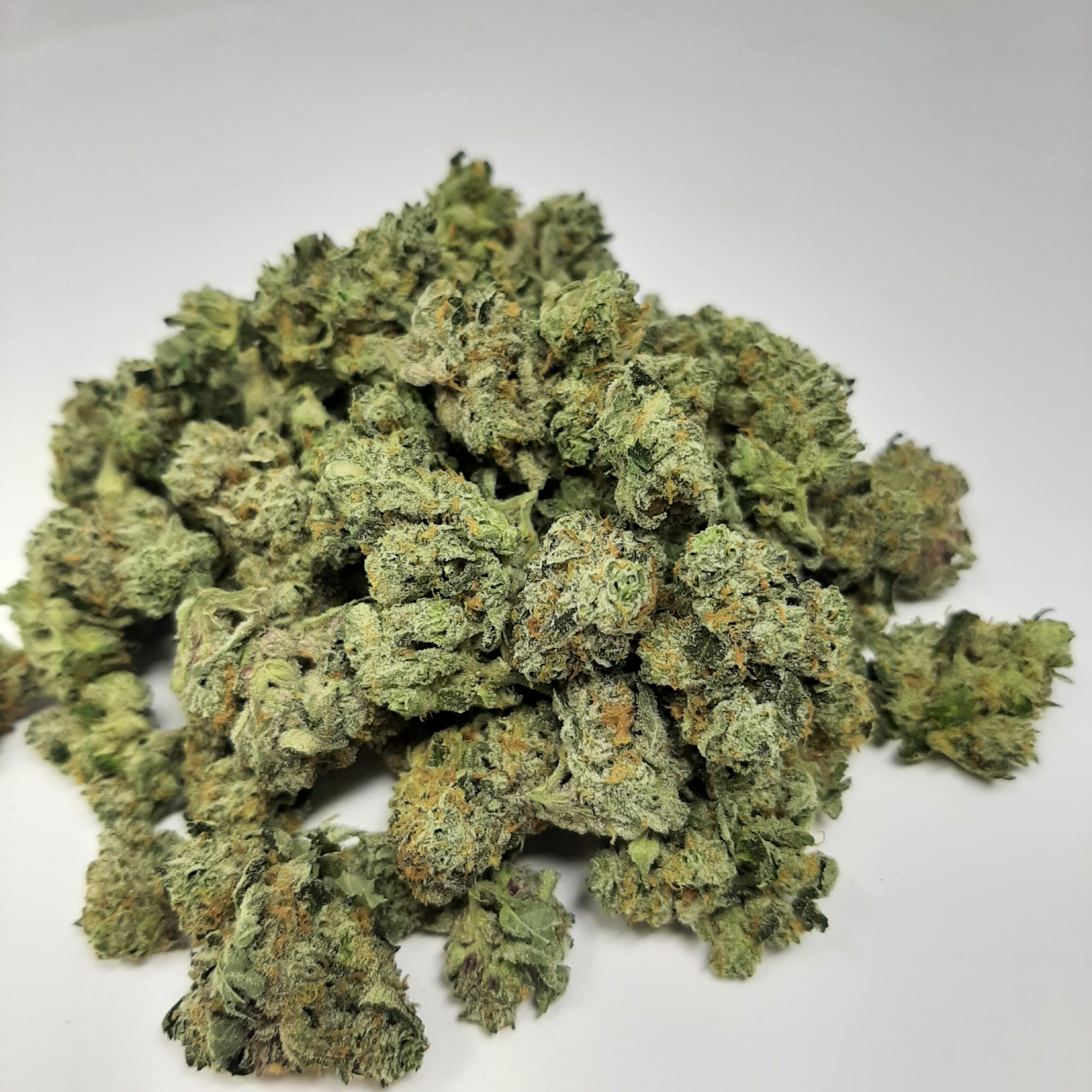 AAA+ Blue Lobster Smalls By Green Valley