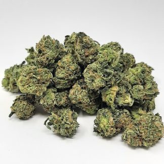 AAA+ Donkey Mac Smalls By Green Valley