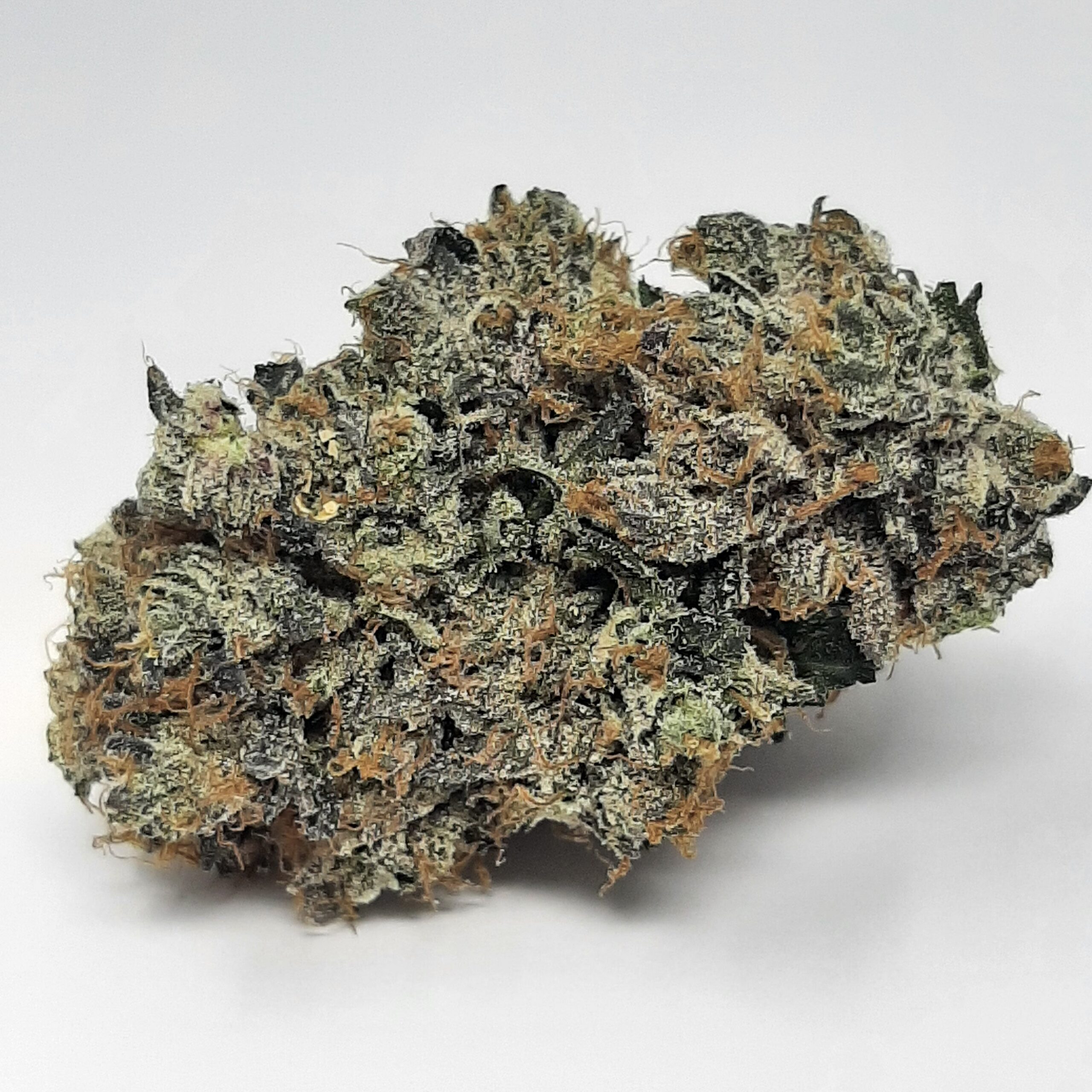 AAAA+ Purple Rockstar Kush By Kootenayz Exoticz (17-24% THC)