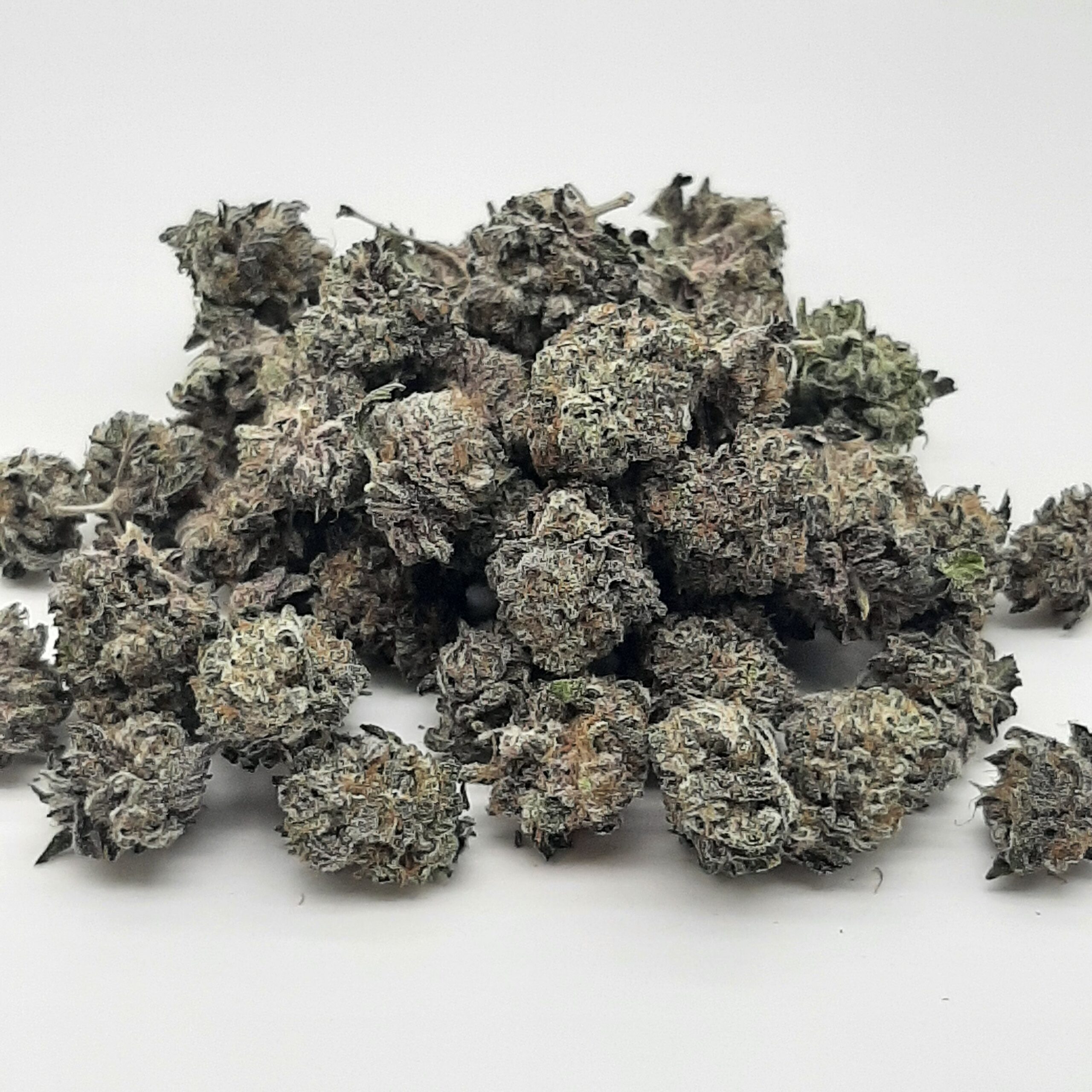 AAAA Pink Starburst Smalls By Green Valley
